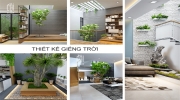 Hướng dẫn phong thủy giếng trời, tiểu cảnh hút lộc, thu phúc khí