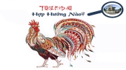Gia chủ tuổi Dậu chọn hướng xây nhà nào hợp phong thủy?