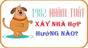 Chọn hướng xây nhà hợp phong thủy cho gia chủ tuổi Tuất