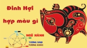 Chọn màu sắc nội thất hợp phong thủy cho gia chủ Tuổi Hợi