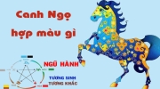 Chọn màu nội thất nhà hợp phong thủy cho gia chủ tuổi Ngọ