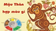 Chọn màu sắc nội thất nhà hợp phong thủy cho gia chủ tuổi Thân