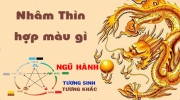 Tuổi Thìn hợp màu gì? Chọn màu nội thất hợp phong thủy cho gia chủ tuổi Thìn